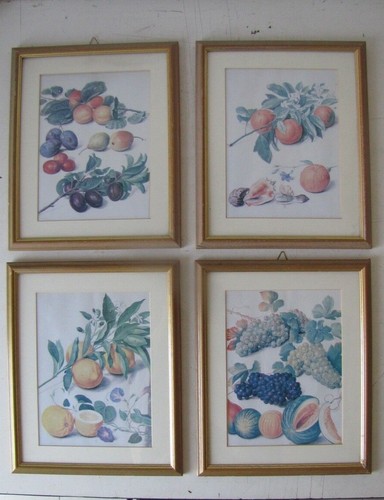 Stampe quadro con frutta - stampe/quadro,