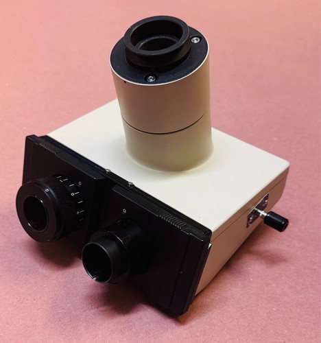 Olympus testina per - testina,