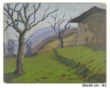 QUADRO PAESAGGIO ALPI