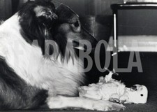 Foto vintage Regno Unito