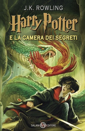 Harry potter camera dei - harry,