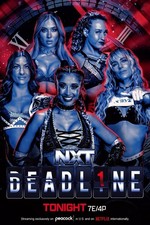 POSTER WWE GIGANTE 24”x36”