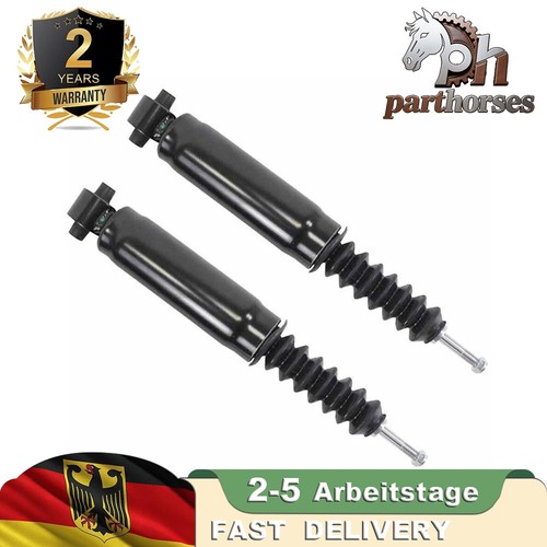 Ammortizzatori posteriori - 2,