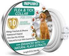 Collare Antiparassitario