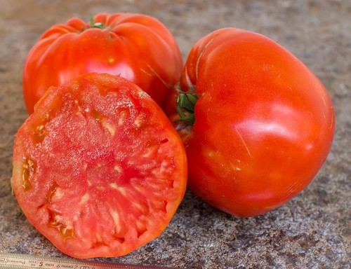 Rosa pomodoro russo ucraino - russo,