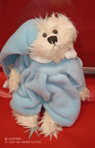 Peluche orsetto teddy bear - orsetto,