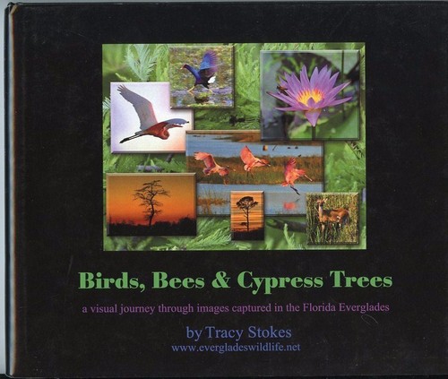 Birds bees cypress trees - bees,