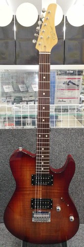 Chitarra elettrica fujigen - chitarra,