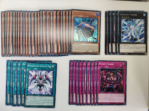 Yugioh competitive shark - -,