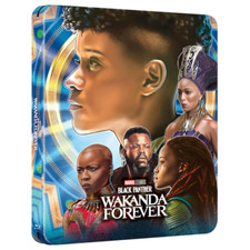 BLACK PANTHER - Wakanda