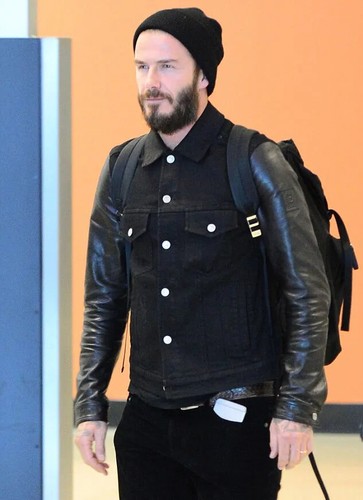 David beckham maculato - beckham,