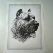 Dogo Canario Joanna & Lesław Kost Libro per Cani Piatto Stampa Illustrazione SV31-3