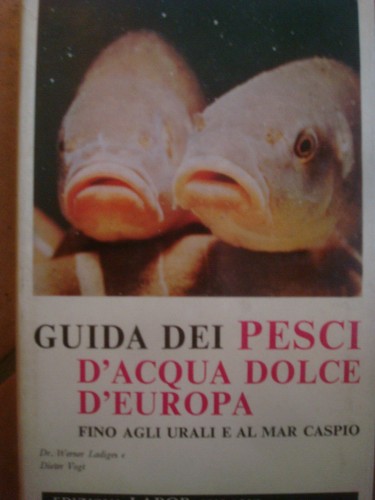 Guida dei pesci acqua - guida,