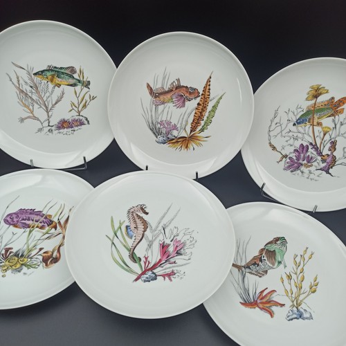 Limoges bernardaud 6 piatti - limoges,