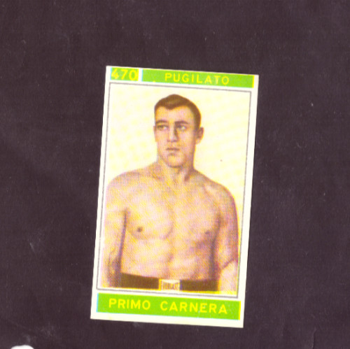 Panini campioni dello sport - campioni,