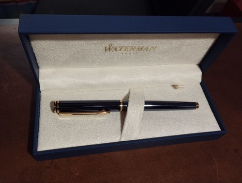 Penna stilografica waterman - penna,