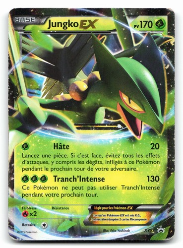 Sceptile xy53 holofoil - ex,