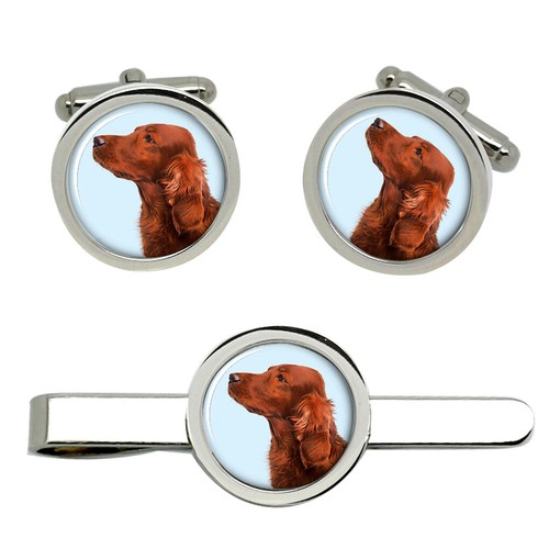 Irlandese rosso setter gemelli - irlandese,