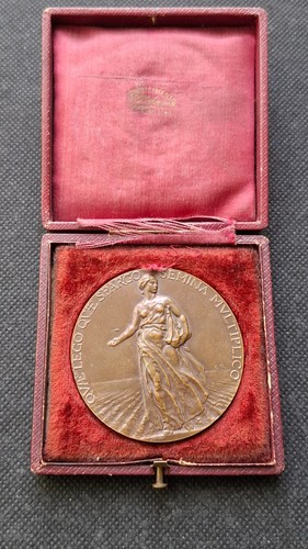 Medaglia bancaria centenario