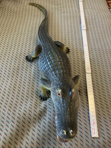 Coccodrillo alligatore - coccodrillo,
