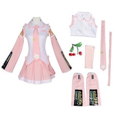 Costume cosplay anime rosa