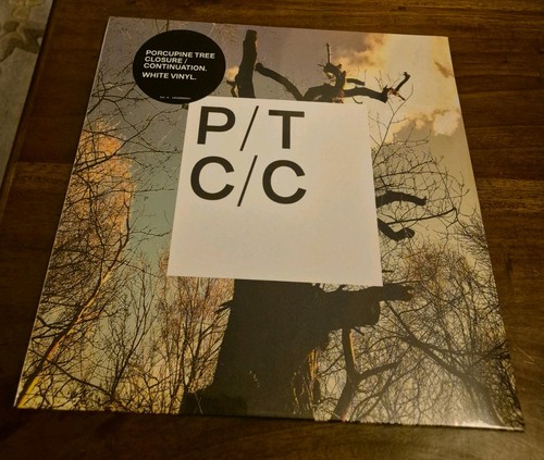 Porcupine tree - tree, (steven