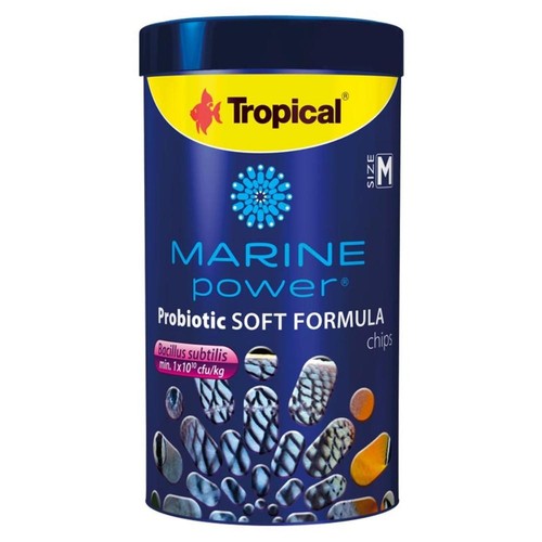 Tropical marine power - tropical,