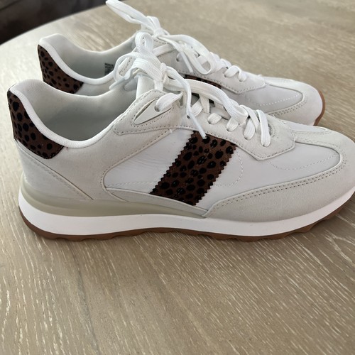 Sneaker steve madden price - sneaker,