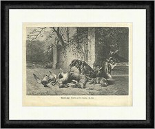 Nach der Jagd Hund Tiere Beute