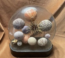 antica e spettacolare teca