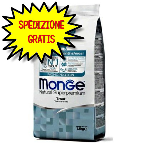 Monge gatto crocchetta kitten - gatto,