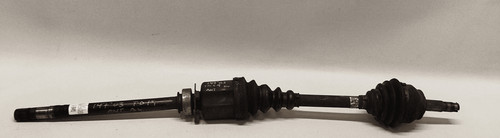 46308072 semialbero ant - semialbero,