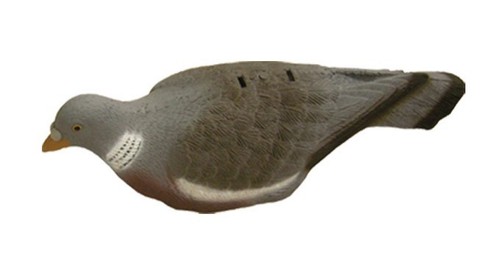 Colombaccio conchiglia ra - colombaccio,