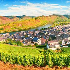 Offerta Vacanze 4T 2P & HP |