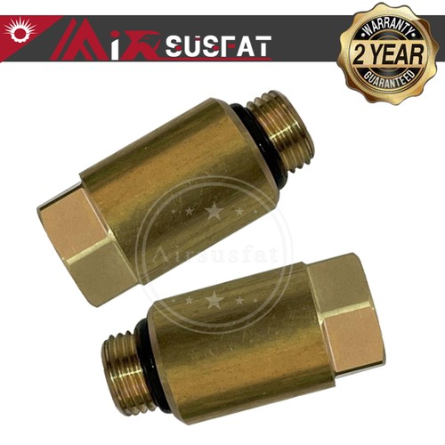 Valvola ammortizzatore - 2x,