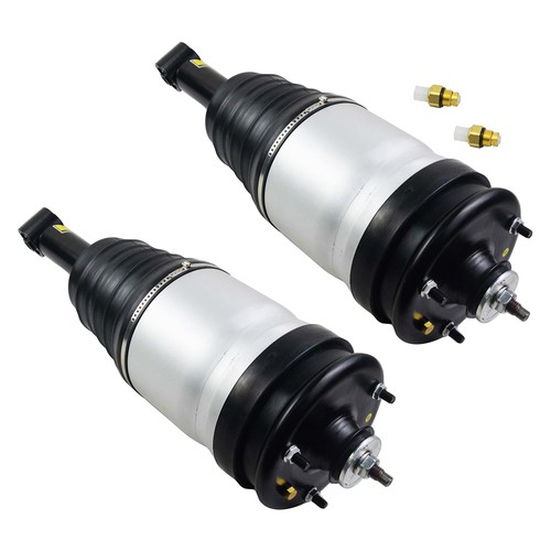 2*Molla pneumatica posteriore