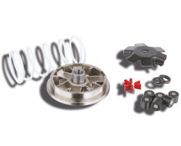 5111262 variatore malossi - variatore,