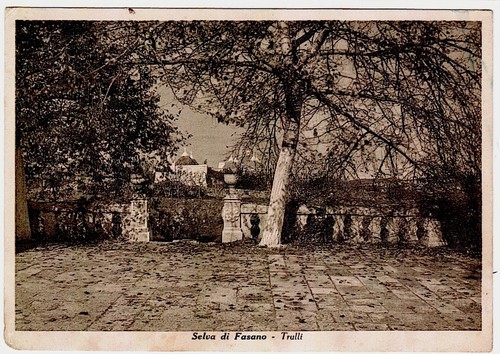 Selva fasano brindisi - di,