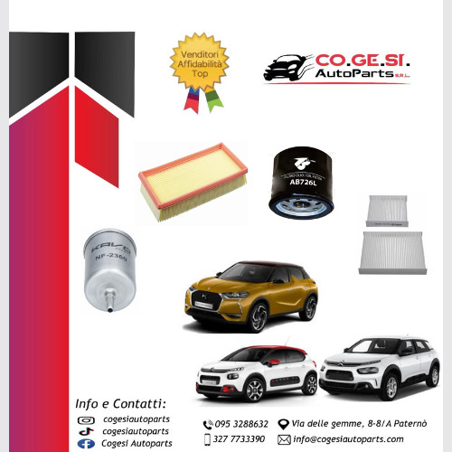 Kit tagliando citroen ii - tagliando,