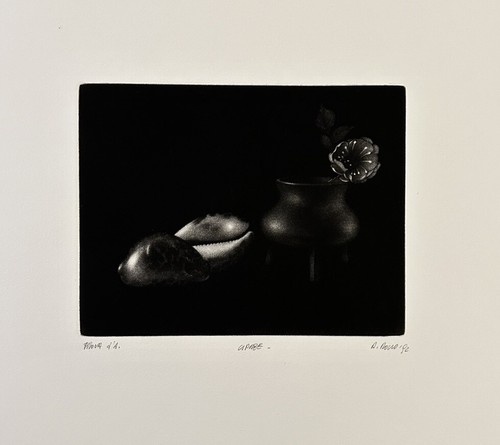 Alberto rocco cipree - -,