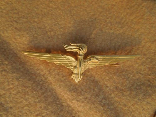 Distintivo brevetto pilota - brevetto,