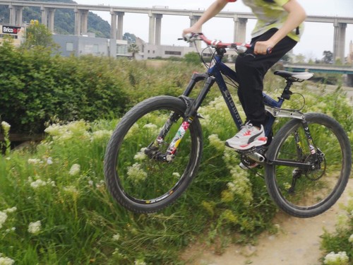 Mountain bike elswort - elswort, made