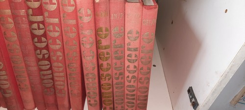 Enciclopedia conoscere - conoscere, 20