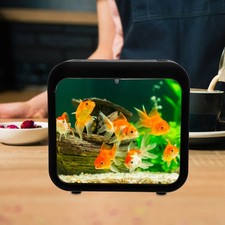  Decorazione Della Casa Vasca