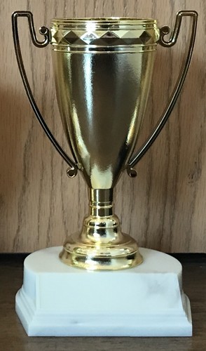 Trofeo coppa incisione - 7",