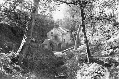 Pmm whitehaven seldom - pmm-91,