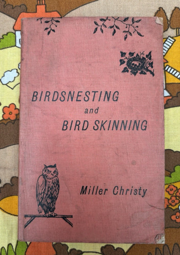 Antique book birds nesting - book,,