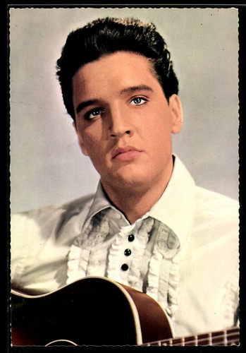 Musicista elvis presley - elvis,