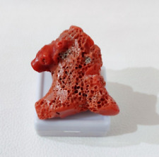 Italia Corallo Rosso Mare