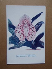 § carte ORCHIDÉE